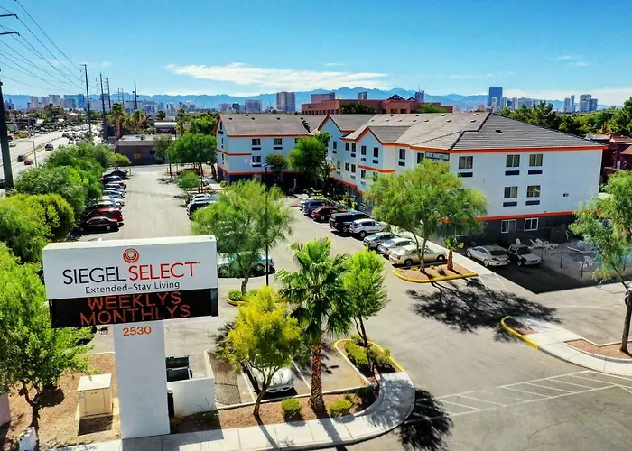 Siegel Select Flamingo